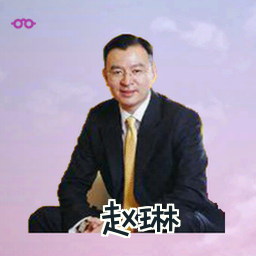 赵琳